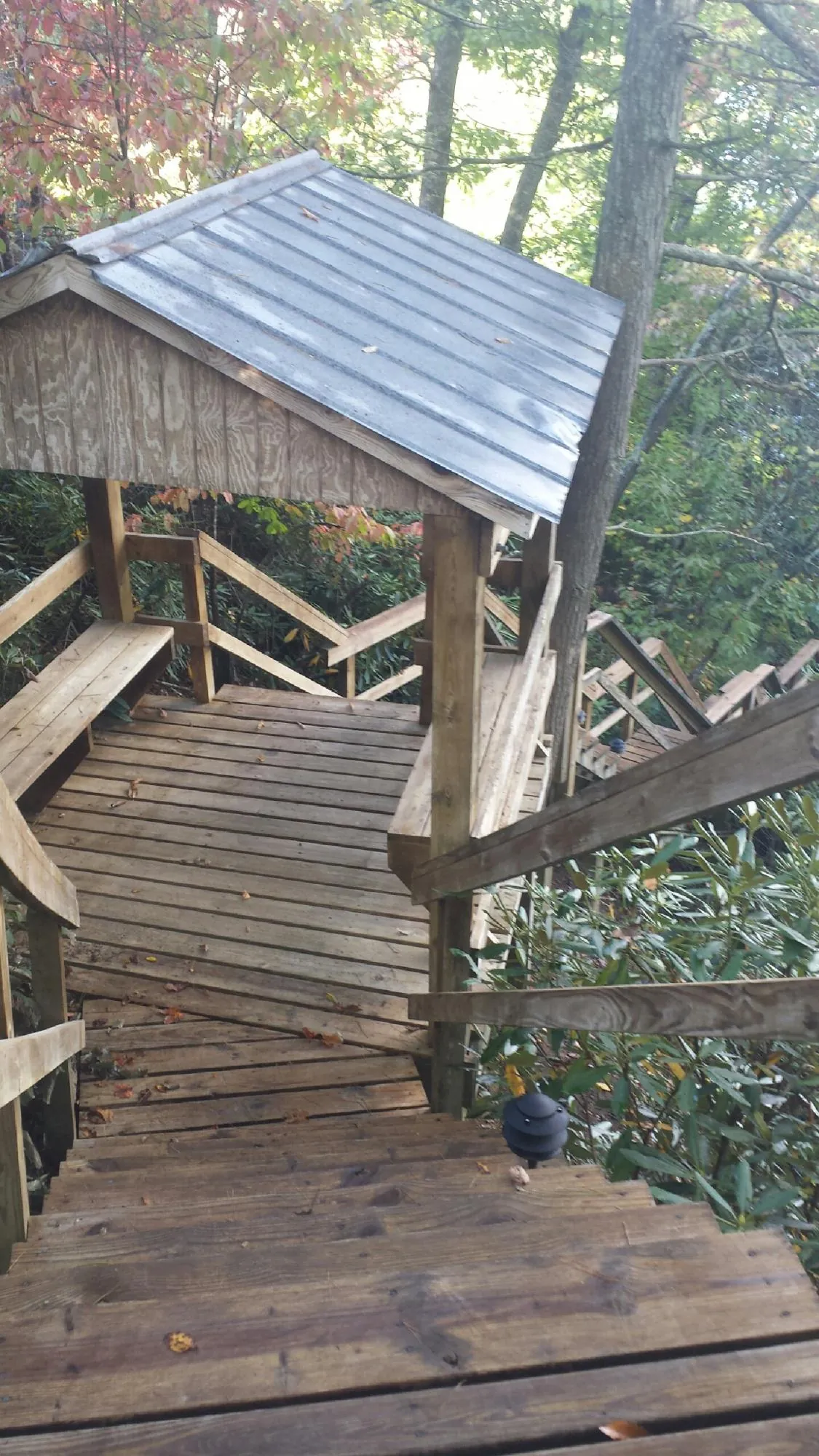Metal roofed shelter over wooden steps on a wooded walkway — Skylight Repair & Installation work by our crew in Cogswell